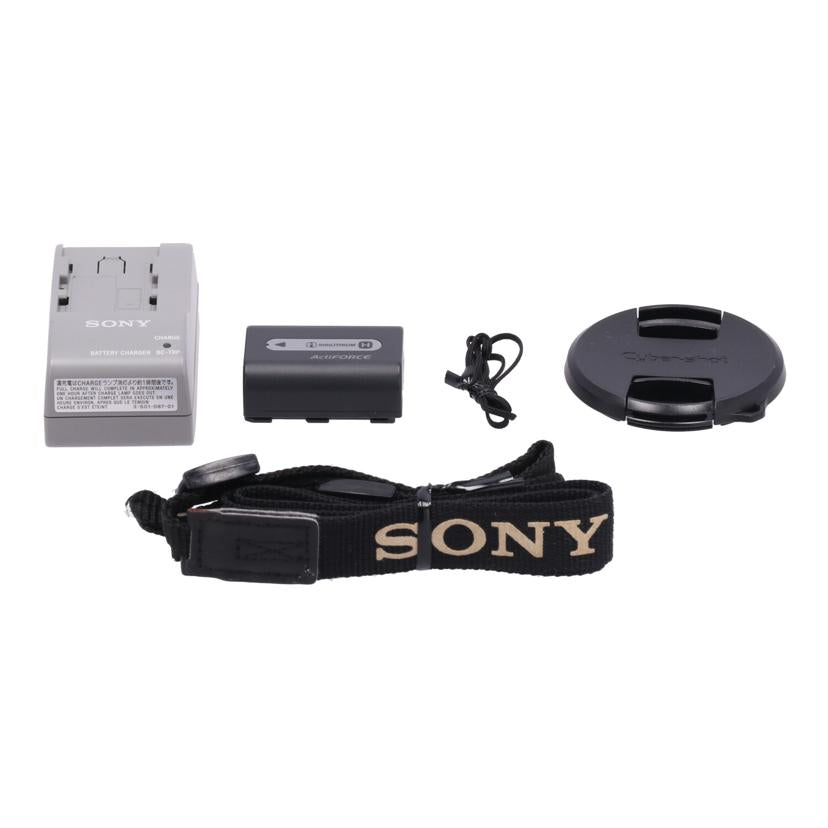 SONY ソニー /デジタルカメラ(オールド)/Cyber-shot /DSC-HX100V//14969/Bランク/84