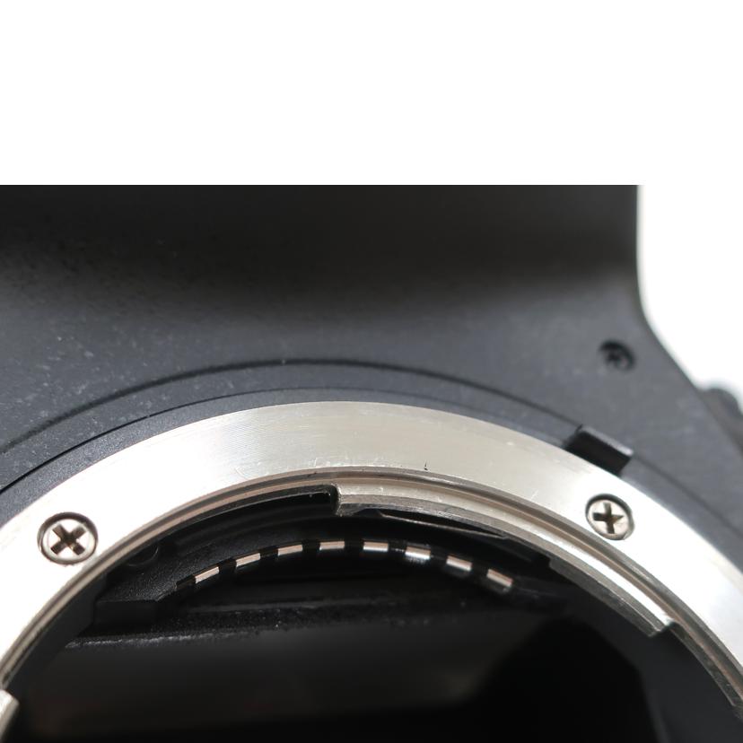 Nikon ニコン/デジタル一眼ボディ バッテリーパック付き/D800//2063405/Bランク/65