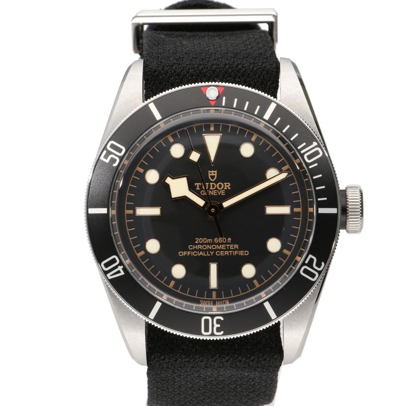 TUDOR チューダー/ヘリテージブラックベイ/メンズ/自動巻/79230N//WY5****/ABランク/78