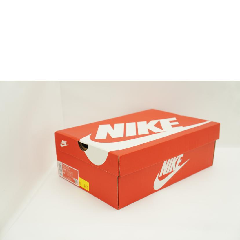 NIKE ナイキ/P-6000 PRM/FQ8243 025//Aランク/42