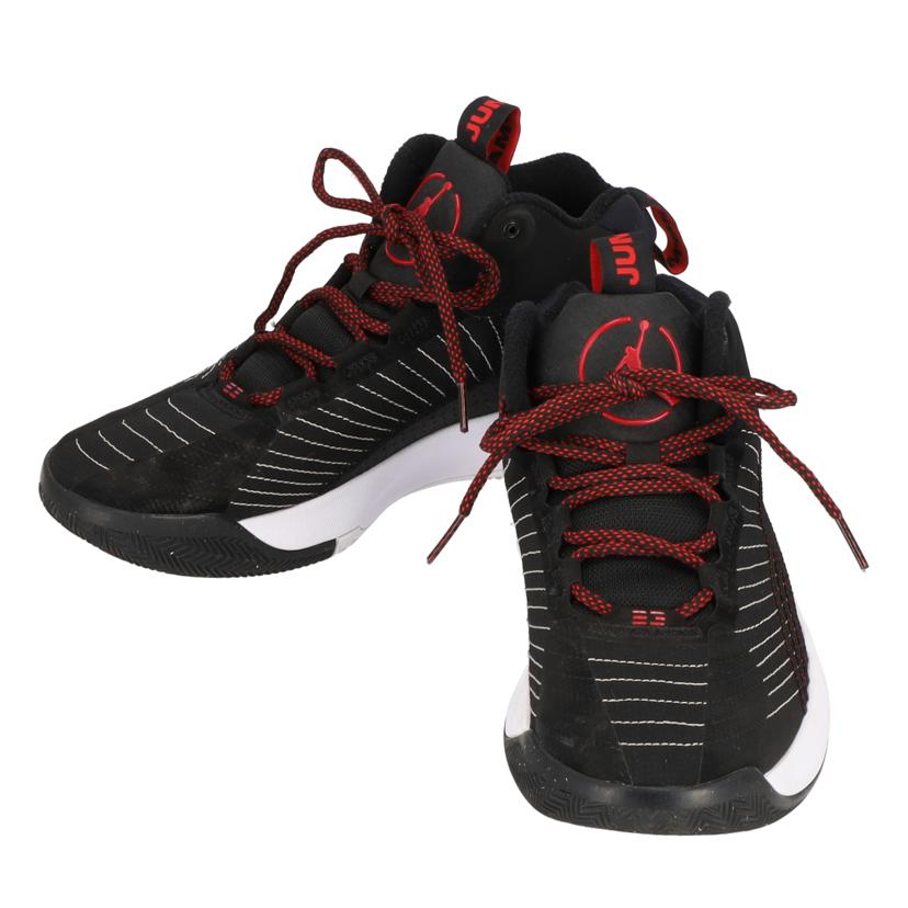 NIKE ナイキ/JORDAN JANPMAN2021/CQ4201-006//Aランク/09
