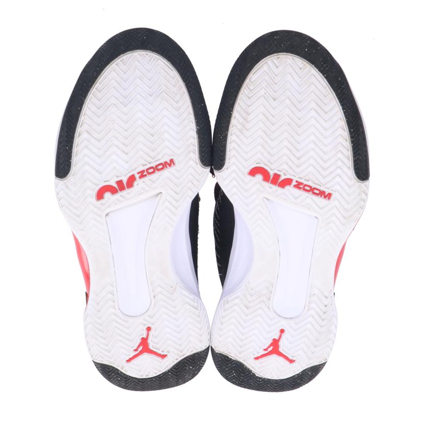 NIKE ナイキ/JORDAN JANPMAN2021/CQ4201-006//Aランク/09