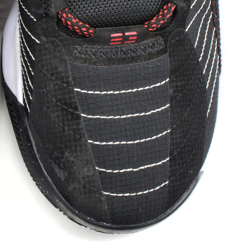 NIKE ナイキ/JORDAN JANPMAN2021/CQ4201-006//Aランク/09