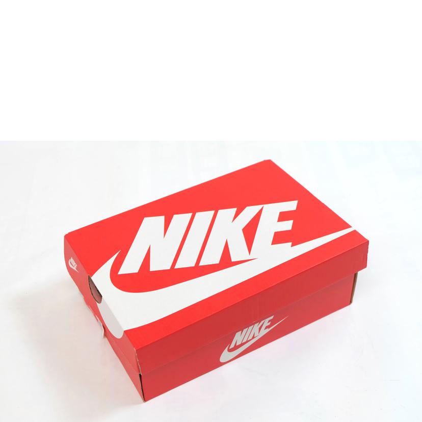 NIKE ナイキ/DUNK LOW RETRO /DD1391-402//-/Aランク/71