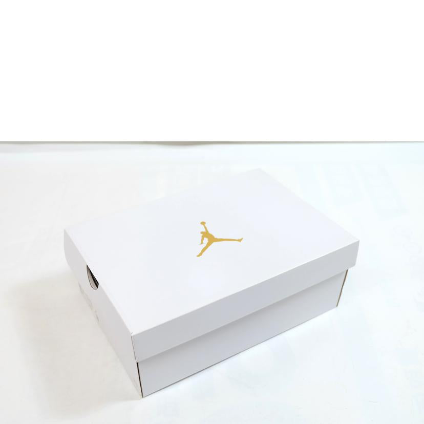 NIKE ナイキ/WMNS AIR JORDAN4 RETRO SE/CW7183-100//-/Aランク/71