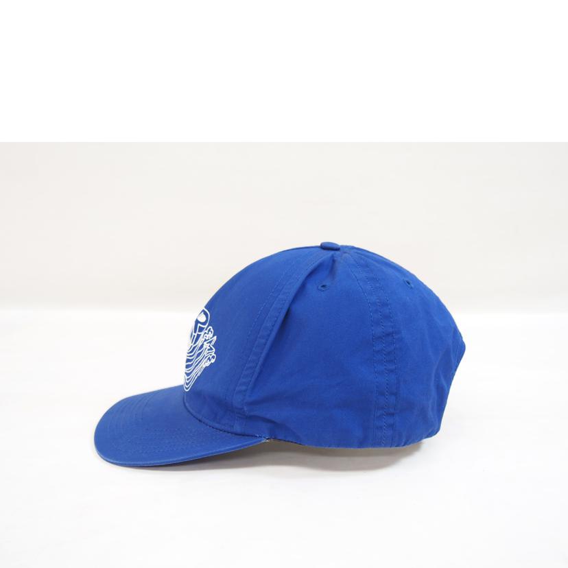 Supreme シュプリーム/ダニエルジョンストンスナップキャップ//BCランク/71