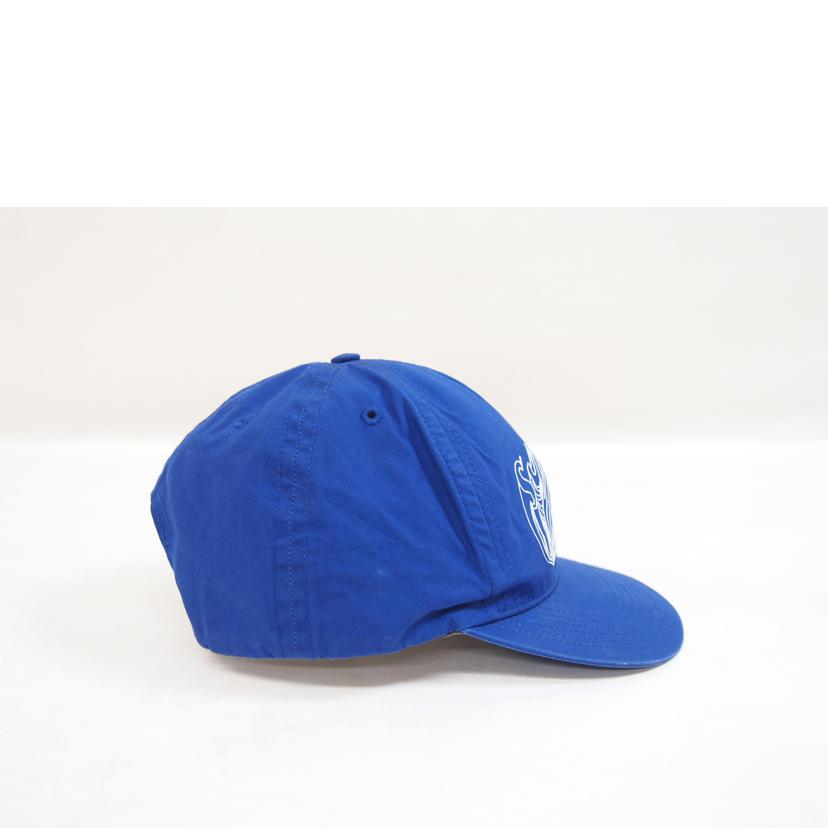 Supreme シュプリーム/ダニエルジョンストンスナップキャップ//BCランク/71