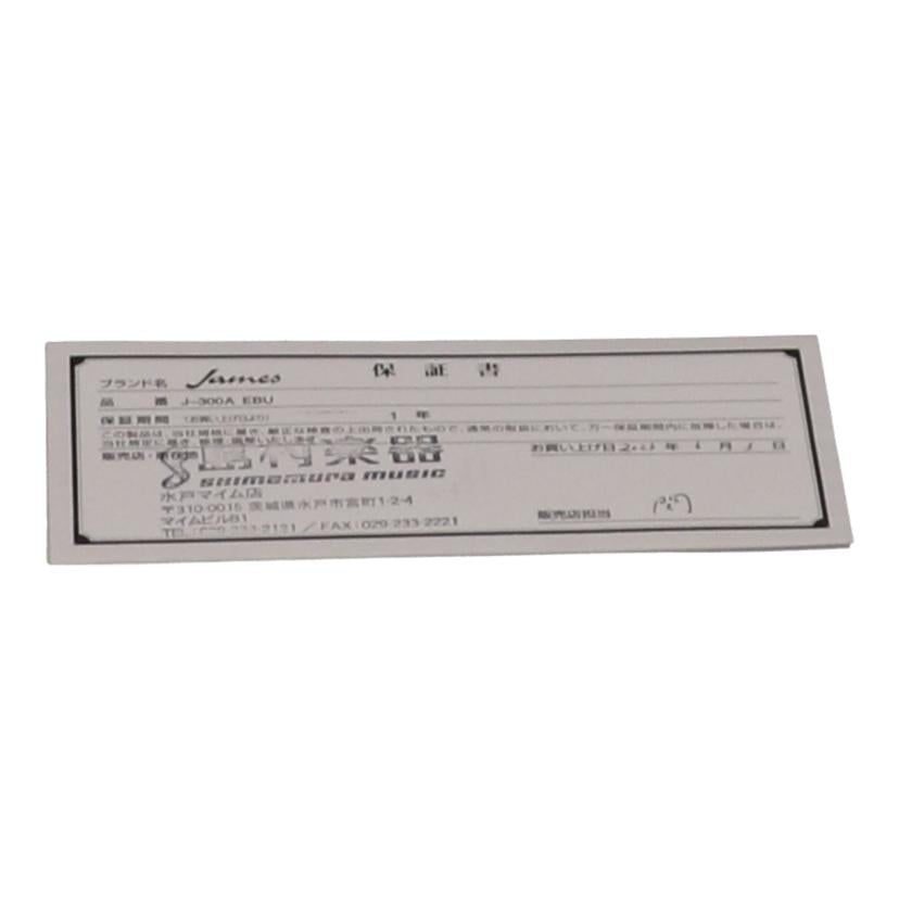 James ジェームス/アコースティックギター/J-300A EBU//J23030648/Aランク/62