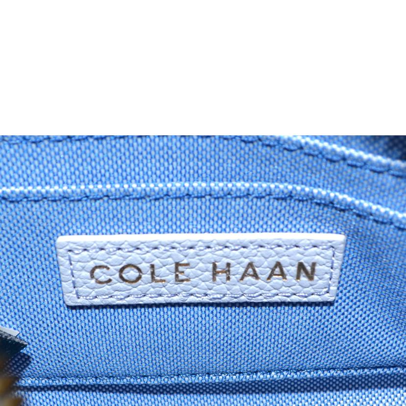 COLE HAAN コールハン/オールインワンフラップクロスボディバッグ/U06994//Aランク/75