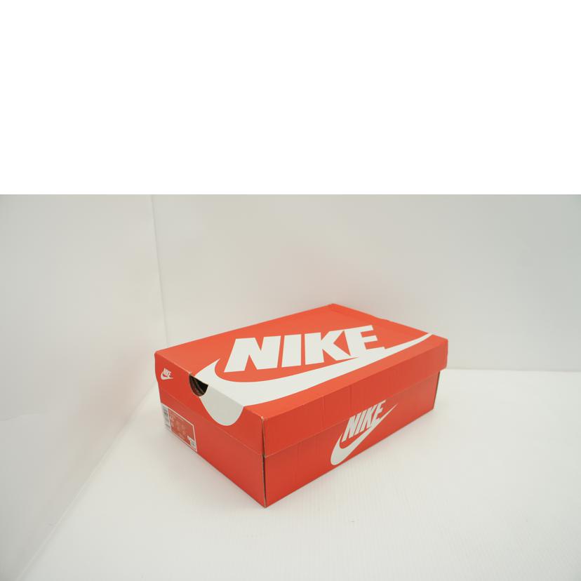 NIKE ナイキ/TERMINATOR HIGH/FN6836-100//Aランク/09