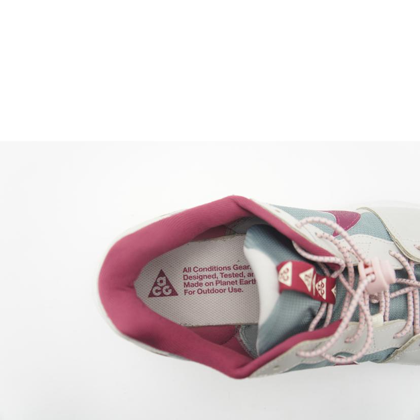 NIKE ナイキ/NIKE ACG LOWCATE /DX2256-300//ABランク/78