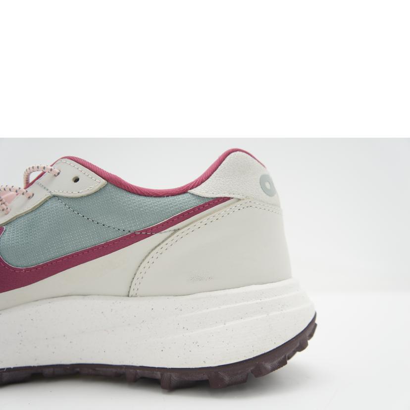 NIKE ナイキ/NIKE ACG LOWCATE /DX2256-300//ABランク/78