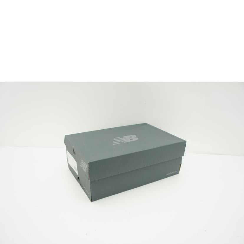 NB ニューバランス/1906R/ネオンナイツ/M1906RCP//サイズ:27cm/Aランク/75