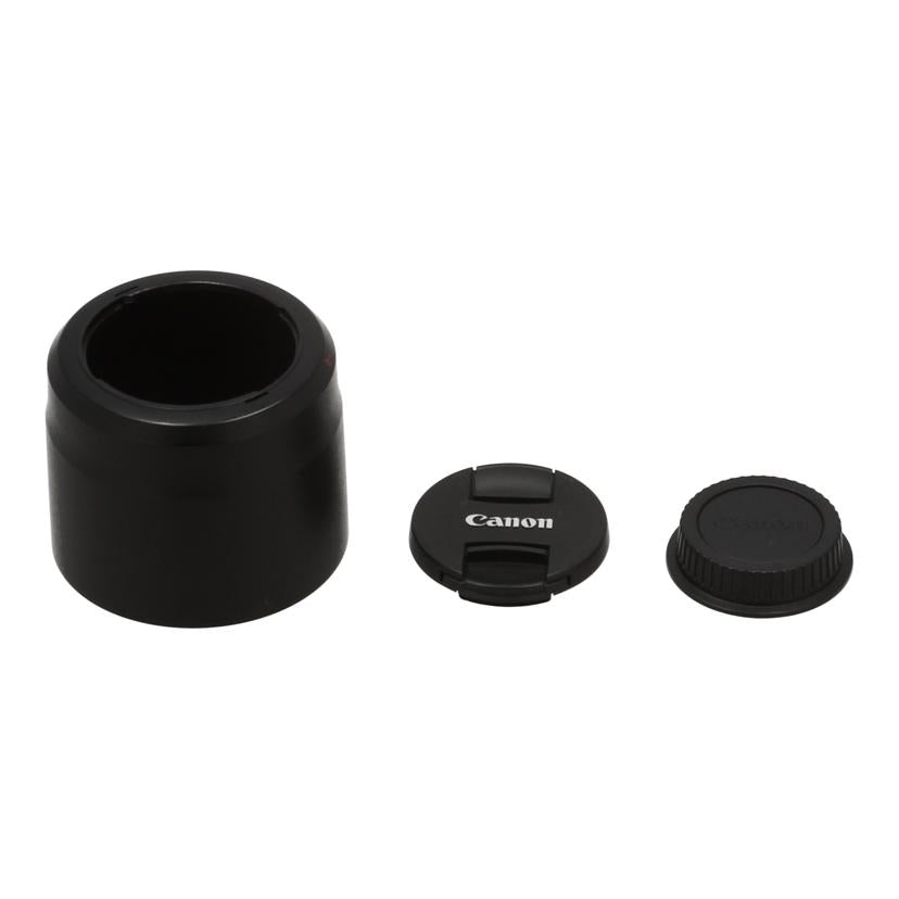 Canon キヤノン /交換レンズ/70-300mmL/EF70-300mm F4-5.6L IS USM//4250000856/Bランク/85