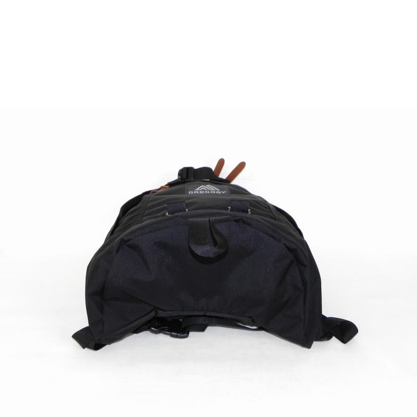 GREGORY グレゴリー/GREGORY CLASSIC バックパック/137539-1041//SAランク/81