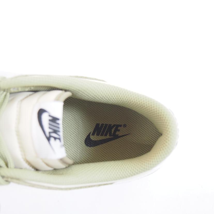 NIKE ナイキ/NIKE DUNK LOW RETRO SE/IB6399-200//Sランク/71