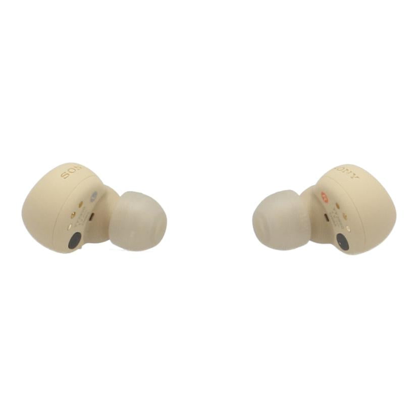 SONY ソニー/ワイヤレスイヤホン/LinkBuds S/WF-LS900N//S014009898O/Bランク/77
