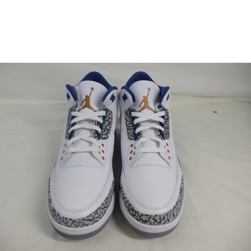 NIKE ナイキ/AIR JORDAN3/31.0cm/CT8532-148//Aランク/84