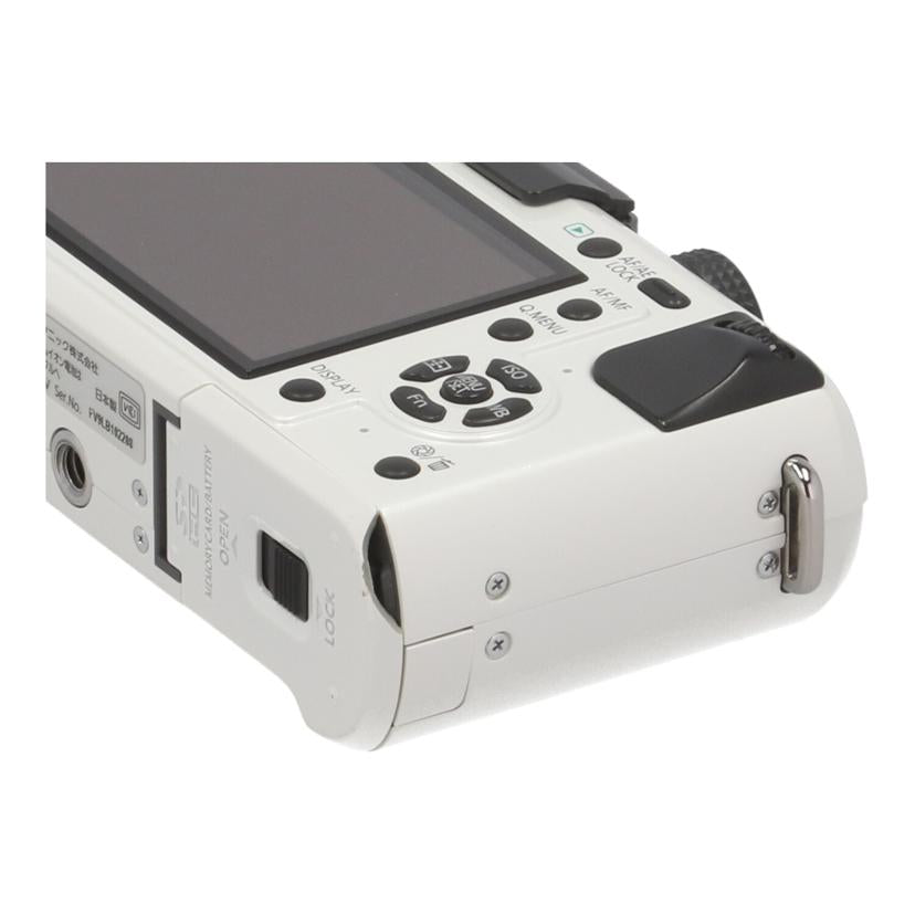 Panasonic パナソニック /ミラーレス一眼 ボディ/DMC-GF1 ボディ//FV9LB102208/Cランク/82
