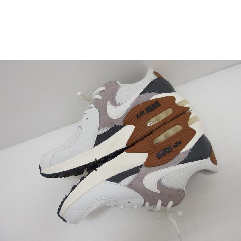 NIKE ナイキ/ALR MAX EXCEE/FZ5486 102//ABランク/88