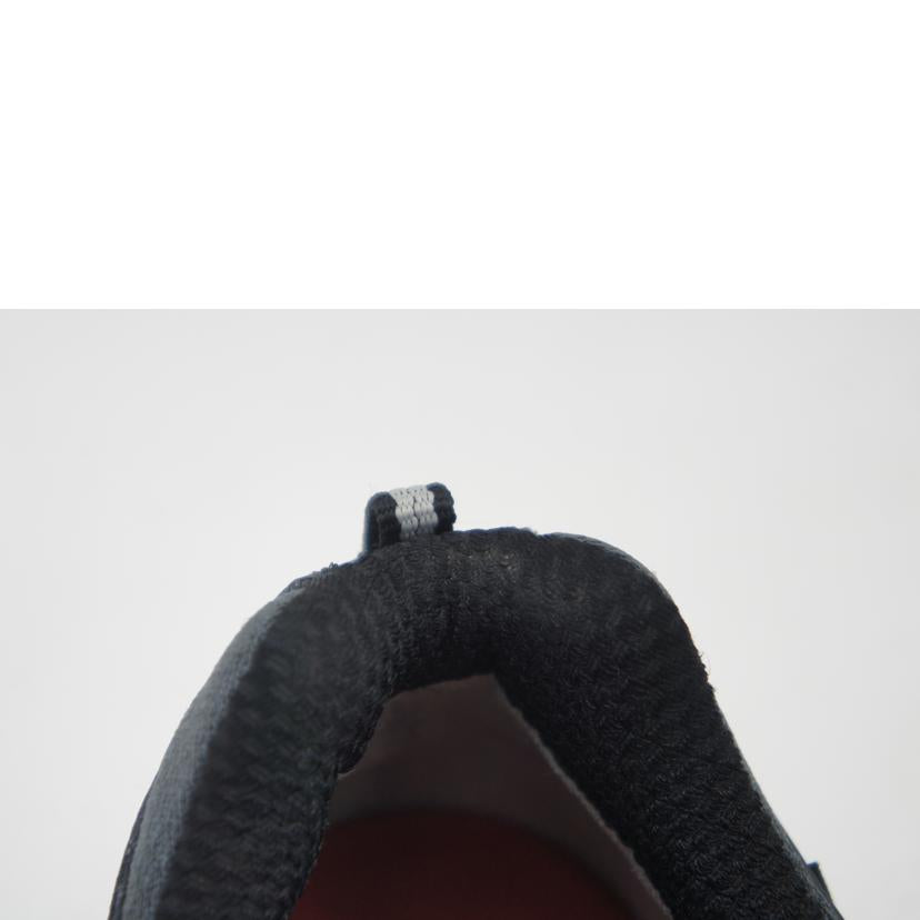 THE NORTH FACE ノースフェイス/ヘッジホッグハイキングシューズ/NF00CDF8//ABランク/09
