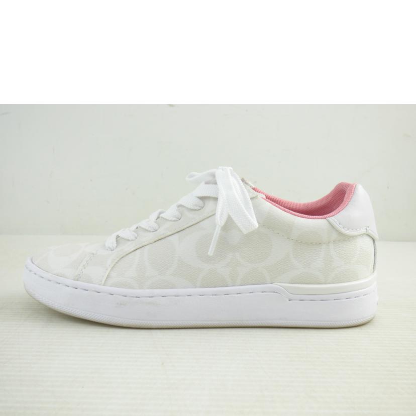 COACH コーチ/スニーカー/C3123//ABランク/64