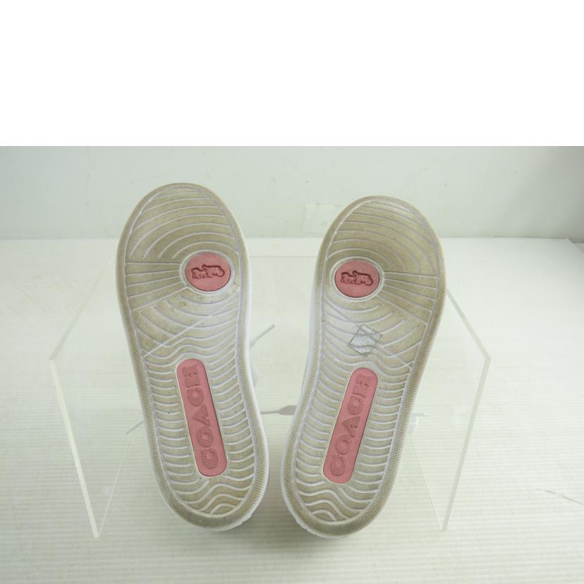 COACH コーチ/スニーカー/C3123//ABランク/64