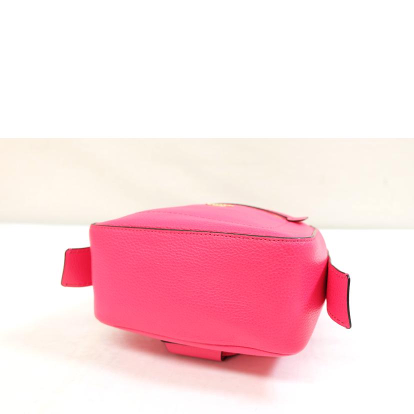 COACH コーチ/ペブルドレザーバックパック/F30530//J18**/Aランク/71