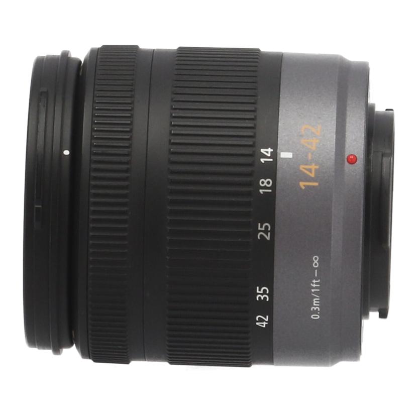 Panasonic パナソニック /交換レンズ/14-42mm/H-FS014042//SA1BE007073/Bランク/01