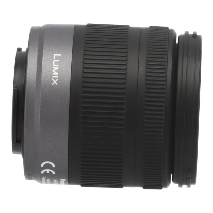 Panasonic パナソニック /交換レンズ/14-42mm/H-FS014042//SA1BE007073/Bランク/01