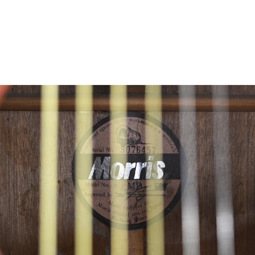 Morris モーリス/アコースティックギター/MD 507//ABランク/75