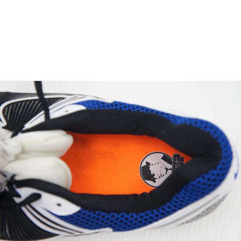 NIKE ナイキ/ZOOM VAMORO 5 SE SP/CI1694-100//ABランク/09