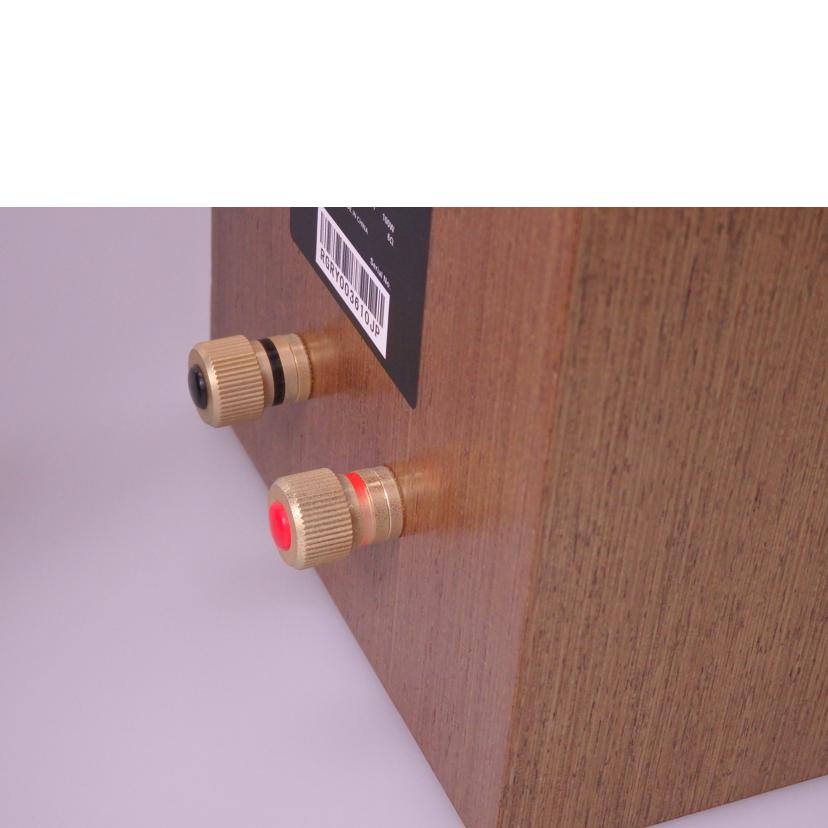 PIONEER パイオニア/スピーカー/S-CN301-LR/S-CN301-LR//RGRY003610JP/ABランク/76