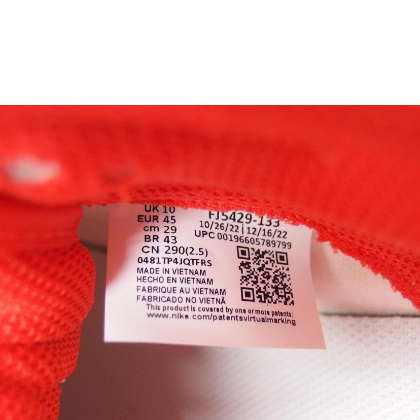 NIKE ナイキ/ダンク ロー/セイル フォトンダスト/ライトスモークグレー ピカンテレッド/ローカットスニーカー/FJ5429-133//SAランク/04