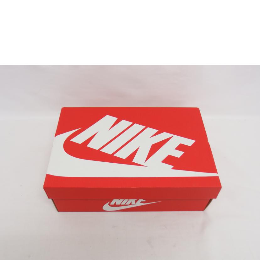 NIKE ナイキ/ダンク ロー/セイル フォトンダスト/ライトスモークグレー ピカンテレッド/ローカットスニーカー/FJ5429-133//SAランク/04