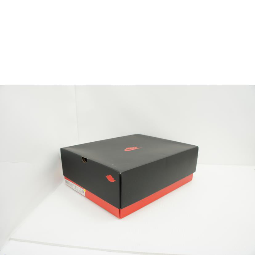 NIKE ナイキ/WMNS AIRJORDAN1 ELEVATE HIGH/DN3253-121//ABランク/09