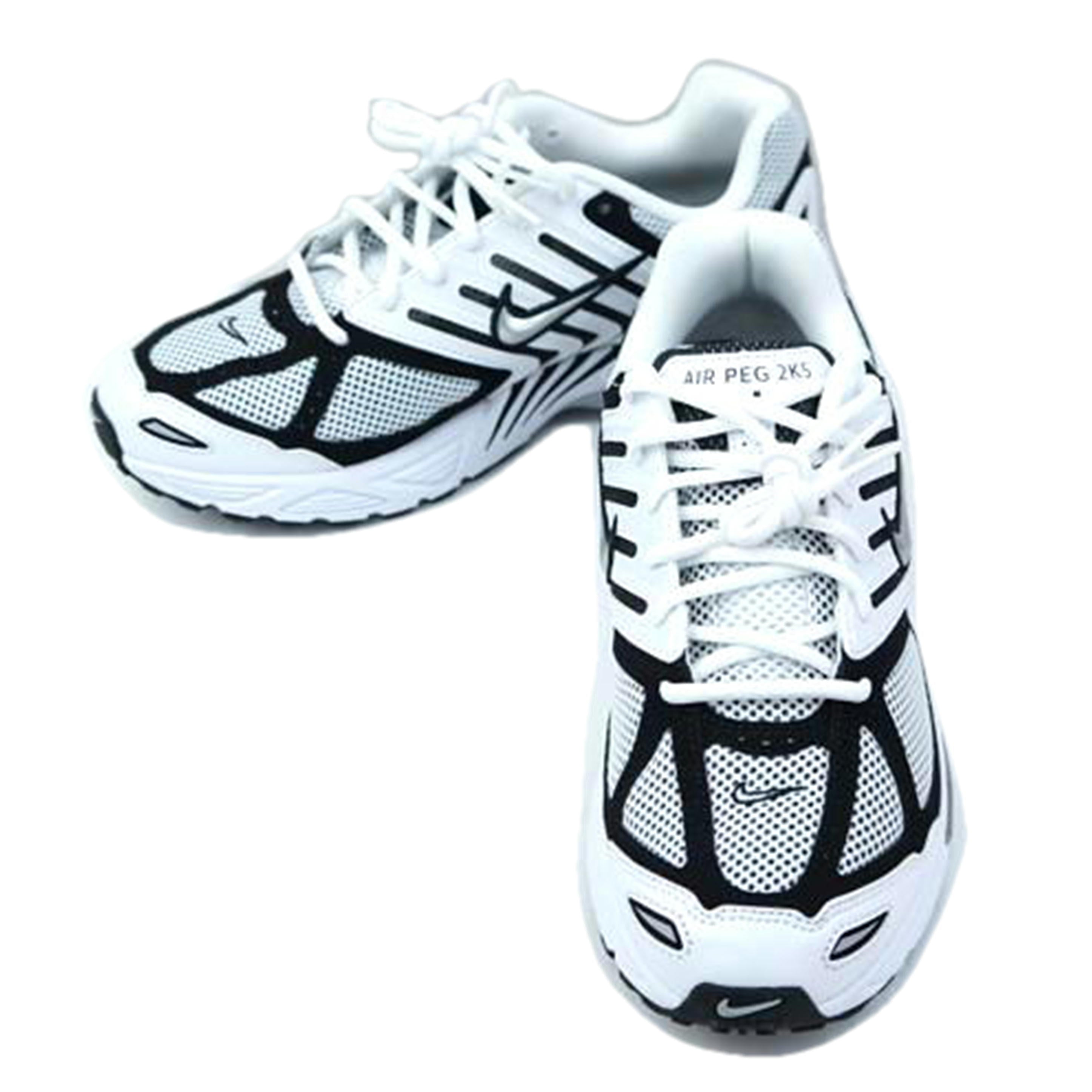 NIKE ナイキ/NIKE AIR PEG 2K5 27.0/FJ1909-100//Aランク/67