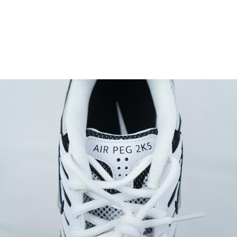 NIKE ナイキ/NIKE AIR PEG 2K5 27.0/FJ1909-100//Aランク/67