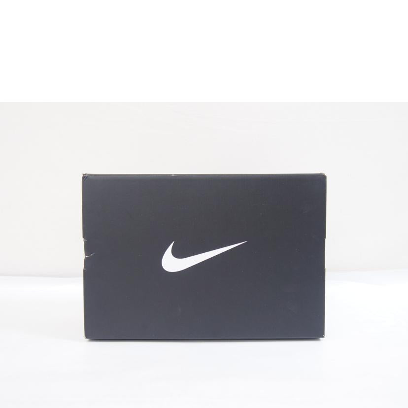 NIKE ナイキ/NIKE AIR MAX Dn8/IM7405-100//Sランク/71