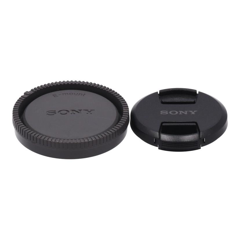 SONY ソニー/カメラレンズ/SEL16F28/SEL16F28//787766/ABランク/24