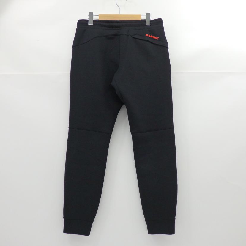 MAMMUT/Dyno2.0 Pants AF Classic/1022-02200//Sランク/77