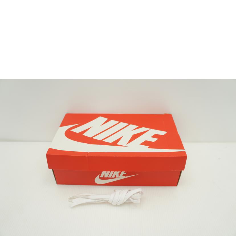 NIKE ナイキ/DUNK LOW RETRO /DD1391-104//Aランク/09