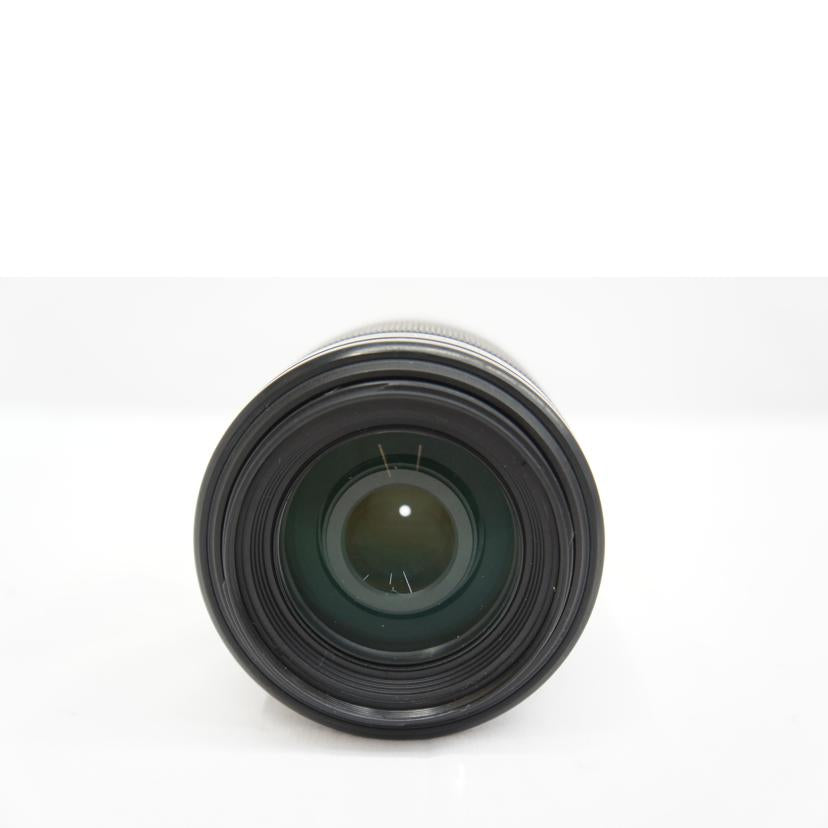 SONY ソニー/55-200mm望遠ズームレンズ/SAL55200-2//1829540/Bランク/05