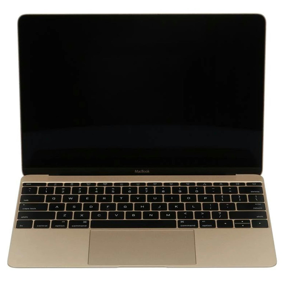 Apple アップル /MacBook (12インチ,Early 2016)/A1534//C02TJ001GTJD/Bランク/65