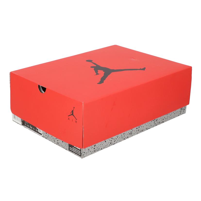 NIKE ナイキ/NIKE AIR JORDAN 6 RETRO/CT8529-600//ABランク/70