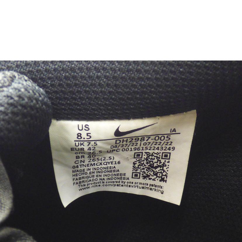 NIKE ナイキ/COURT VISION LO/DH2987-005//ABランク/64