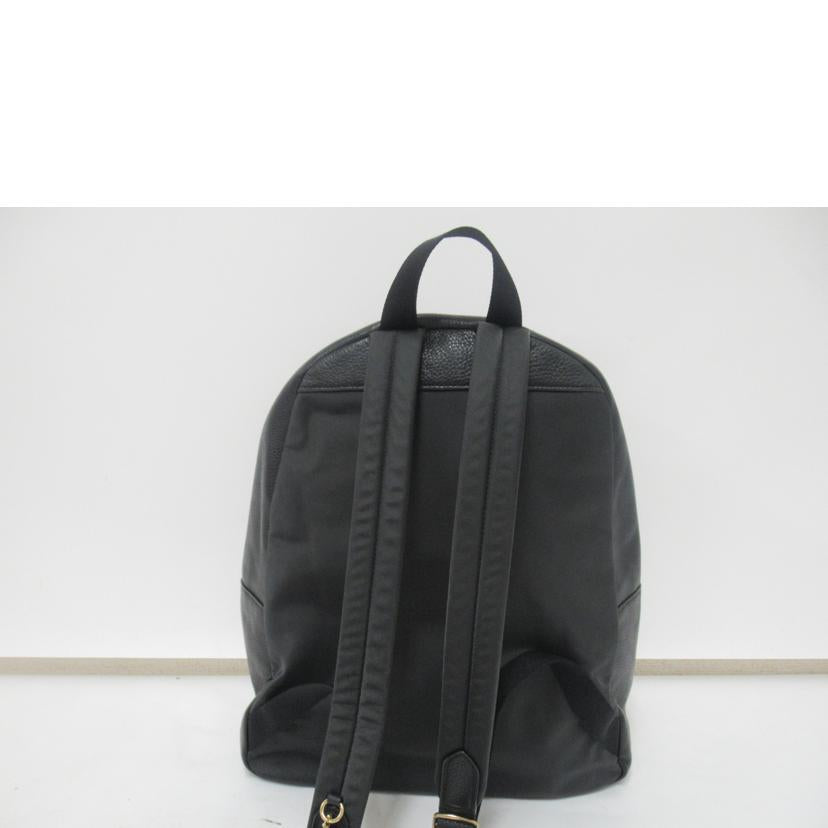 COACH/リュック/レザー/F29004//E18**/Aランク/63