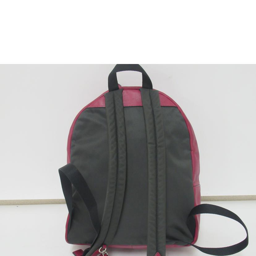 COACH/リュック/シグネチャー・レザー/F32200//H19**/ABランク/63