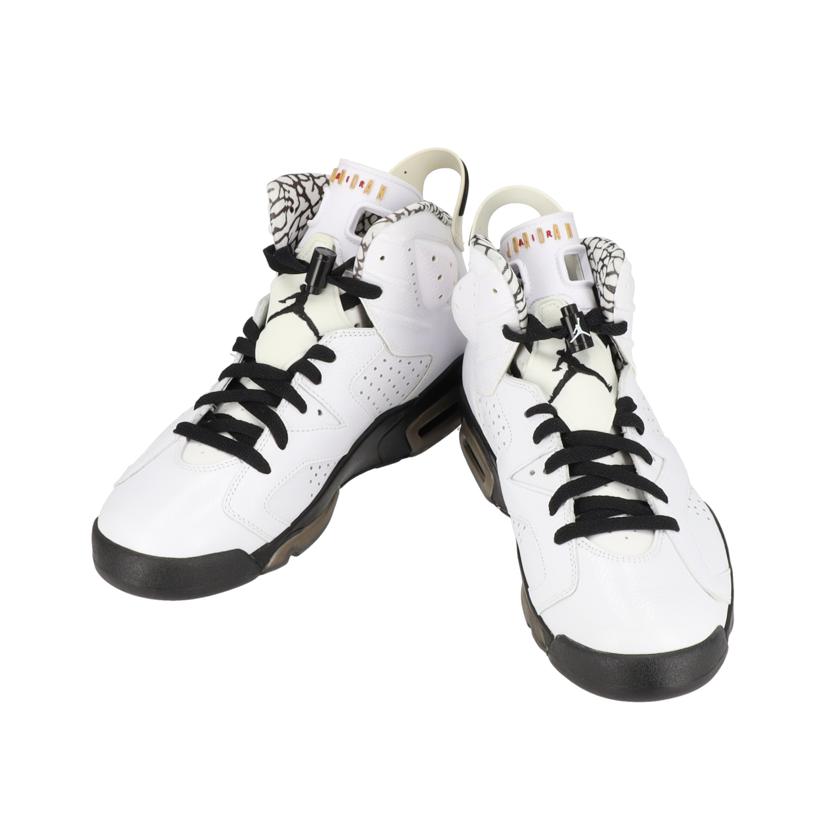 NIKE ナイキ/AIR JORDAN 6 RETRO PREMIUM Motorsports/395866-101//ABランク/05
