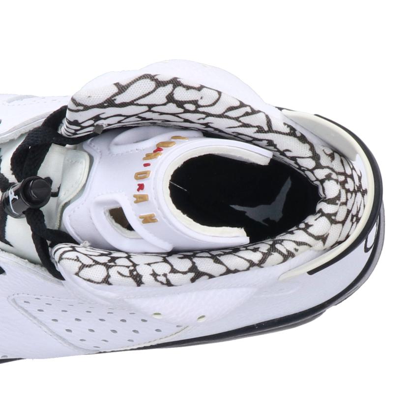 NIKE ナイキ/AIR JORDAN 6 RETRO PREMIUM Motorsports/395866-101//ABランク/05